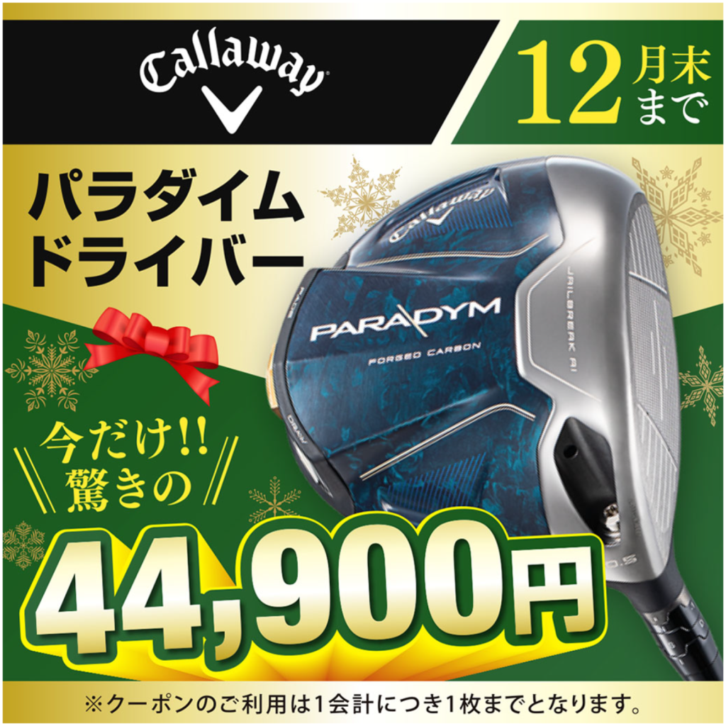 パラダイムドライバー 今だけ 44900円